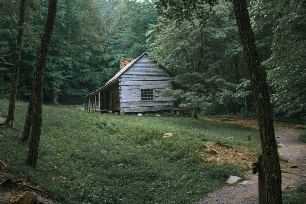 immagine in bianco e nero di una casa nel bosco